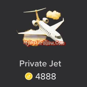 Private Jet Tiktok Gift